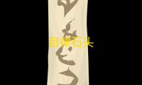 自律石头